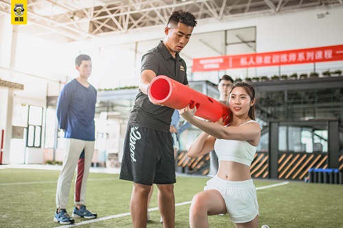 赛普导师教学指导——功能性