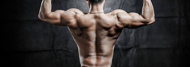 教你如何打造完美的背部肌肉