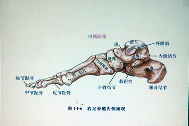 赛普健身教练培训基地